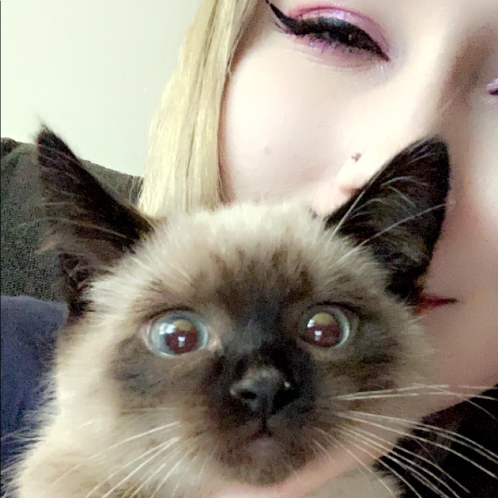 Meet your Posher, Jade